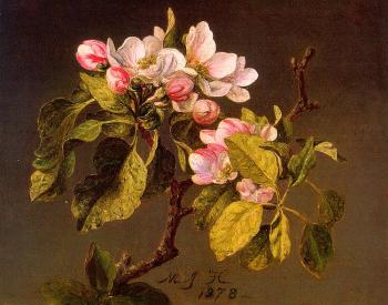 馬丁 約翰遜 赫德 Apple Blossoms